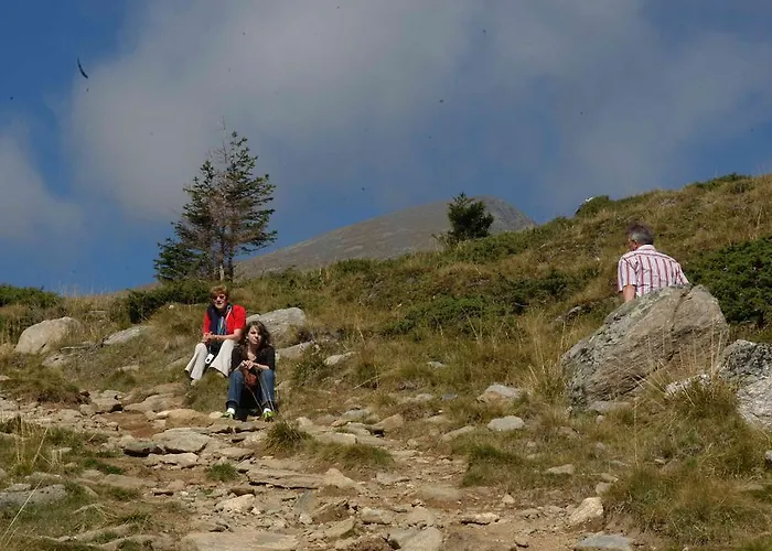 Pensión Trattner Waldhof 3*